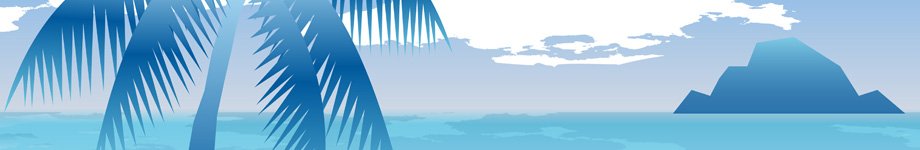 Traveling Puffins Rotating Header Image