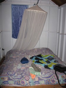 Picture 043 Picture 043