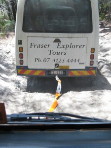 Herveybay,Fraser Island and Sydney 012